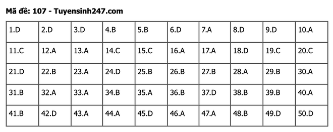 undefined - Ảnh 1.