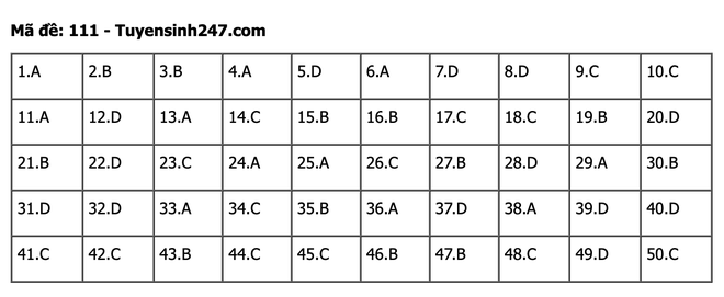 undefined - Ảnh 1.