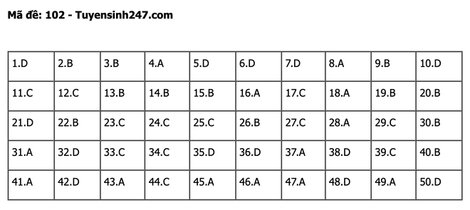 undefined - Ảnh 1.