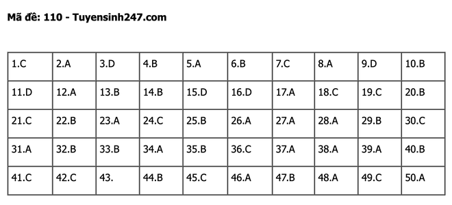 undefined - Ảnh 1.