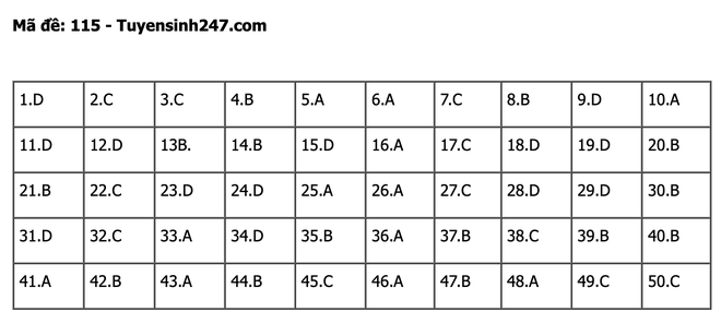 undefined - Ảnh 1.