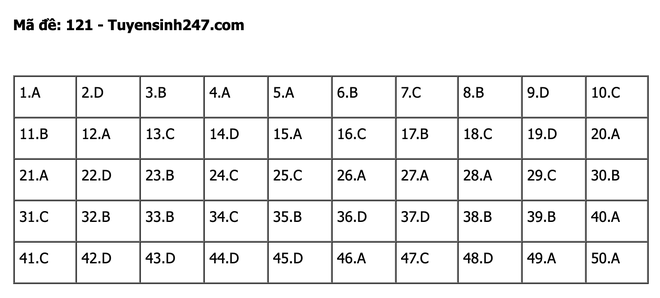 undefined - Ảnh 1.