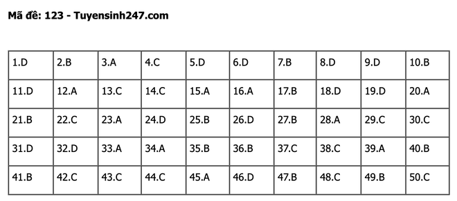 undefined - Ảnh 1.