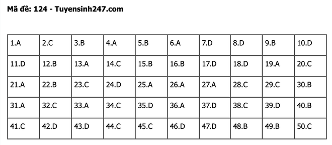 undefined - Ảnh 1.