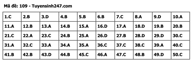 undefined - Ảnh 1.