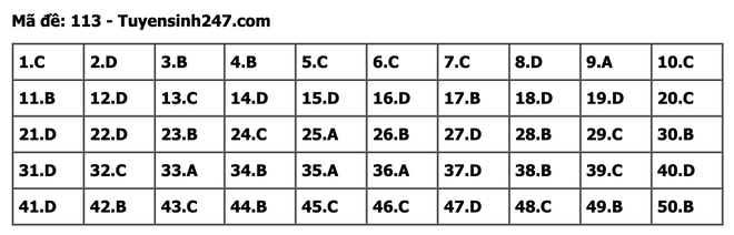 undefined - Ảnh 1.
