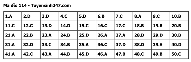undefined - Ảnh 1.