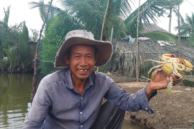 69 m&oacute;n ăn hấp dẫn được chế biến từ cua C&agrave; Mau - Ảnh 1.