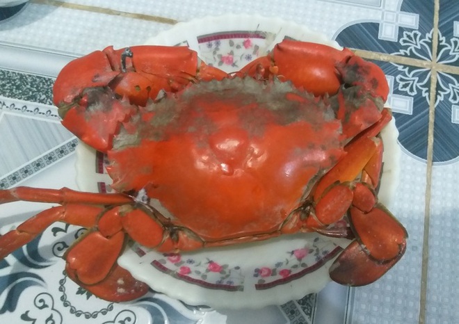 69 m&oacute;n ăn hấp dẫn được chế biến từ cua C&agrave; Mau - Ảnh 6.
