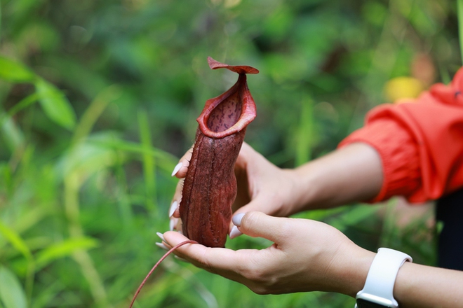 5 điểm đến níu chân du khách ở Tây Ninh - Ảnh 10.