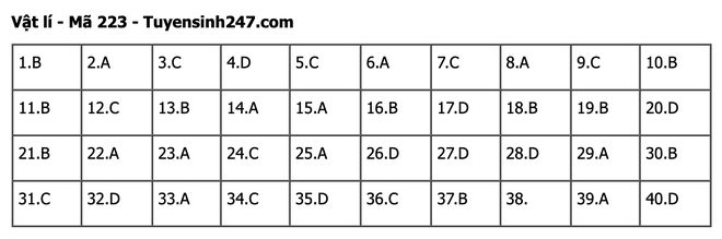 undefined - Ảnh 1.