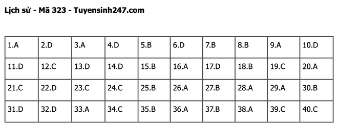 undefined - Ảnh 1.