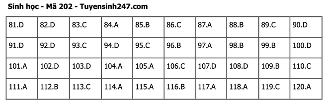 undefined - Ảnh 1.