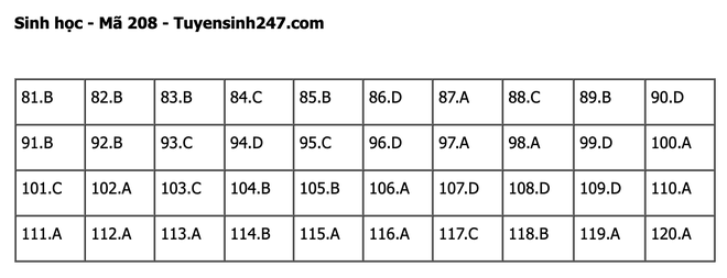 undefined - Ảnh 1.