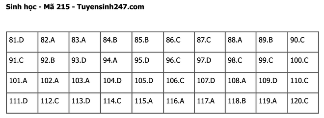 undefined - Ảnh 1.