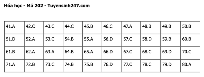 undefined - Ảnh 1.