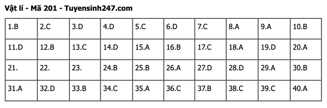 undefined - Ảnh 1.