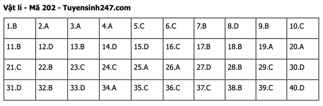 undefined - Ảnh 1.