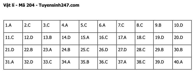 undefined - Ảnh 1.