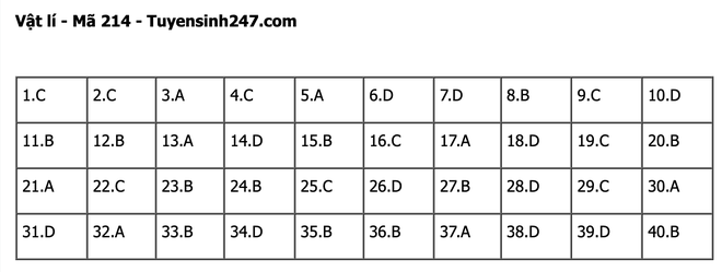 undefined - Ảnh 1.