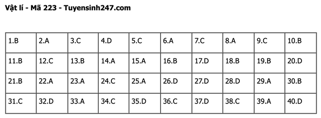 undefined - Ảnh 1.