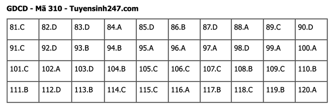 undefined - Ảnh 1.