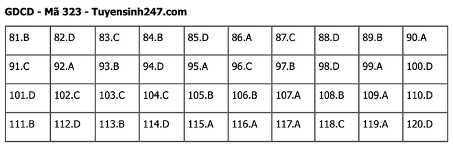 undefined - Ảnh 1.