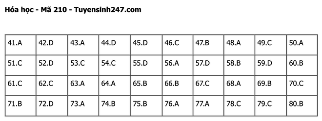 undefined - Ảnh 1.