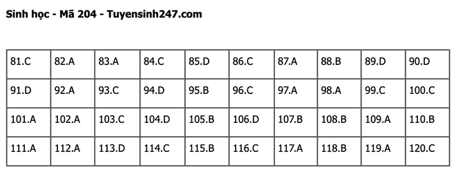 undefined - Ảnh 1.