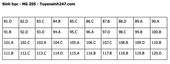 undefined - Ảnh 1.