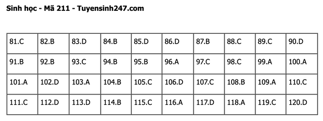 undefined - Ảnh 1.