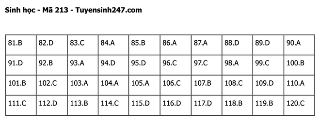 undefined - Ảnh 1.