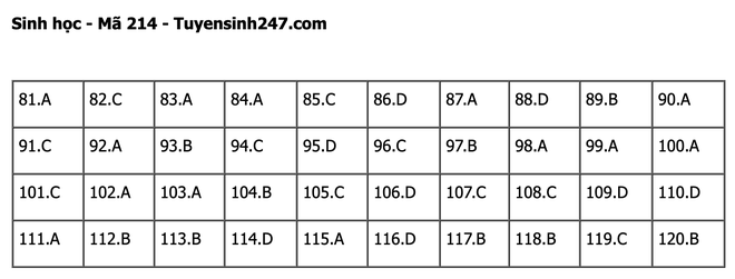 undefined - Ảnh 1.