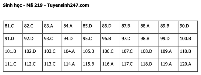 undefined - Ảnh 1.