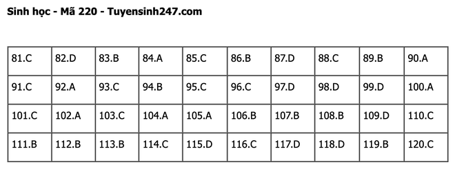 undefined - Ảnh 1.