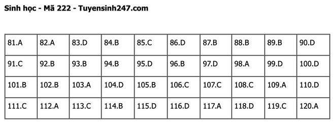 undefined - Ảnh 1.