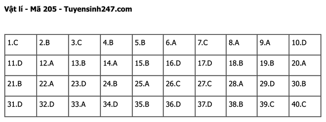 undefined - Ảnh 1.