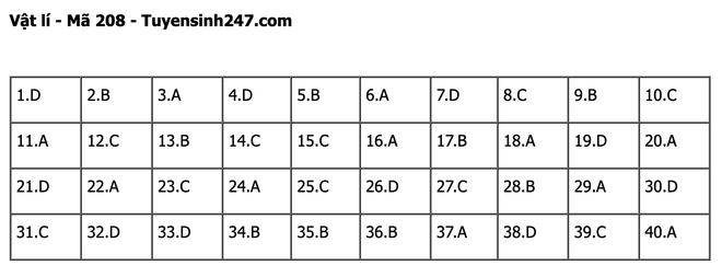 undefined - Ảnh 1.