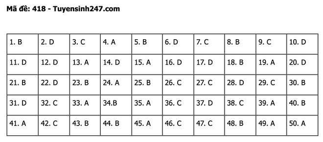 undefined - Ảnh 1.