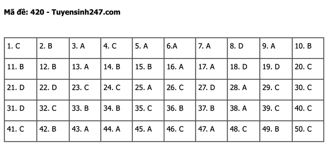 undefined - Ảnh 1.