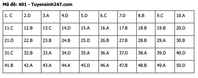 undefined - Ảnh 1.