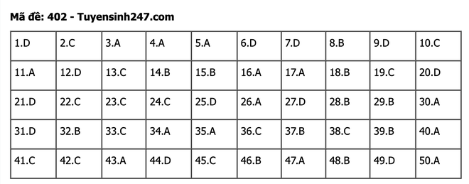 undefined - Ảnh 1.