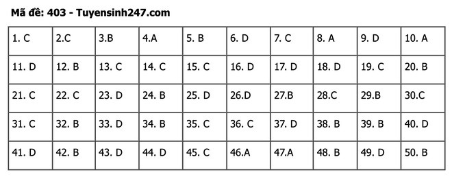 undefined - Ảnh 1.