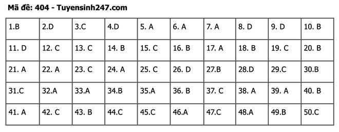 undefined - Ảnh 1.