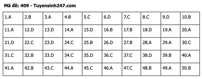 undefined - Ảnh 1.