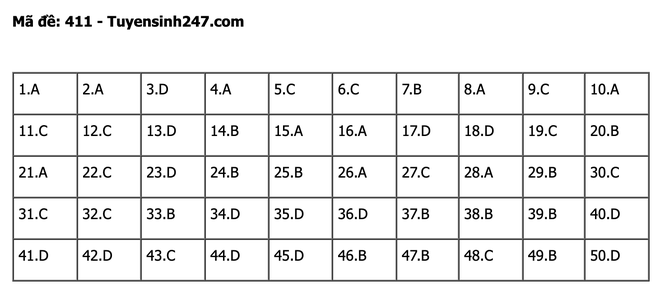 undefined - Ảnh 1.