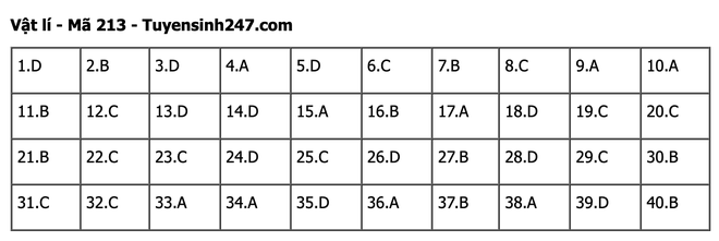 undefined - Ảnh 1.