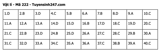 undefined - Ảnh 1.