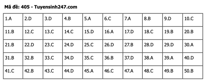 undefined - Ảnh 1.