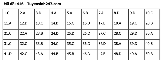 undefined - Ảnh 1.